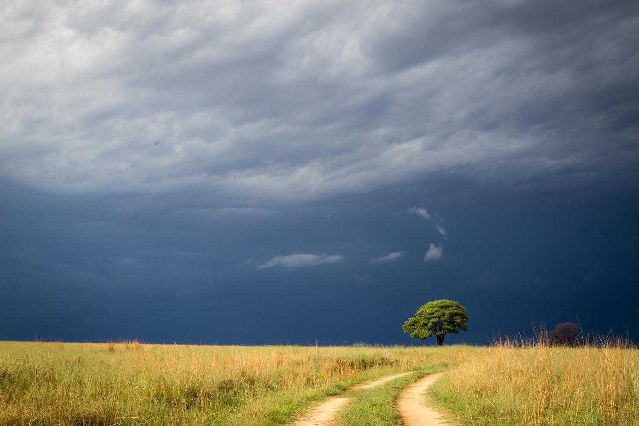 Ezemvelo Nature Reserve Vaalplaas Exterior foto